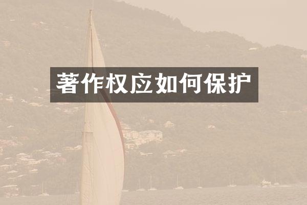 著作权应如何保护