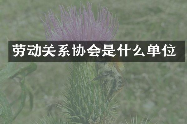 劳动关系协会是什么单位