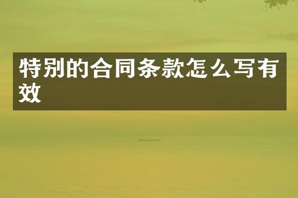 特别的合同条款怎么写有效