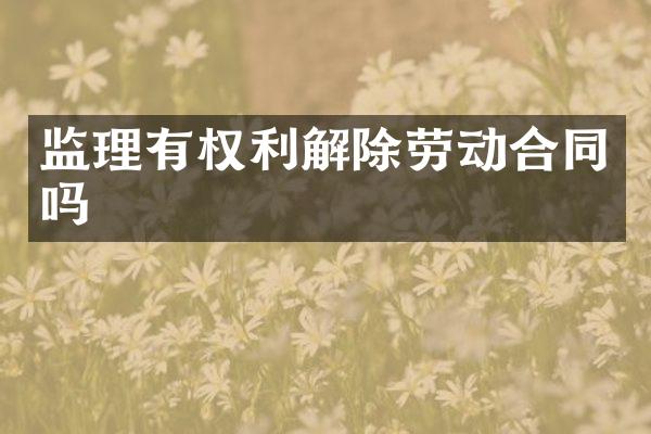 监理有权利解除劳动合同吗