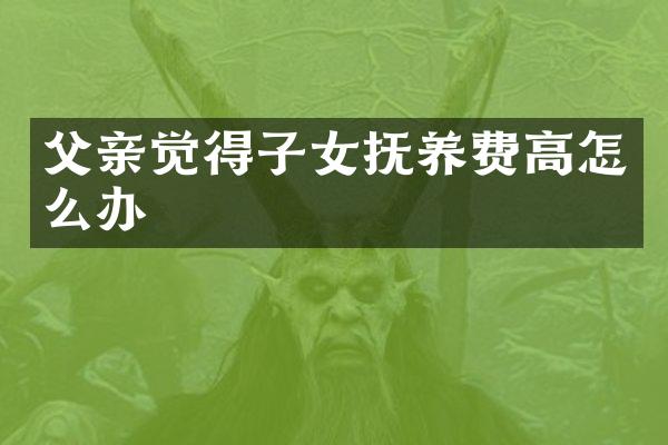 父亲觉得子女抚养费高怎么办