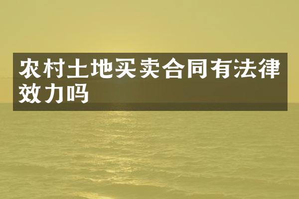 农村土地买卖合同有法律效力吗