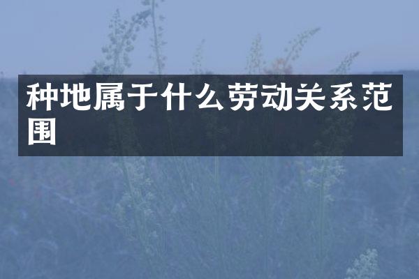 种地属于什么劳动关系范围