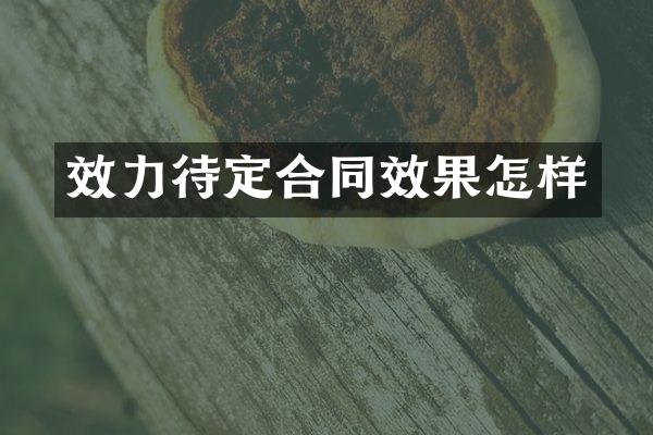效力待定合同效果怎样
