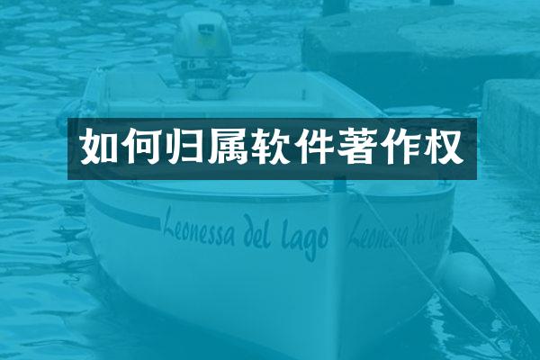 如何归属软件著作权