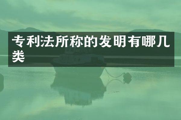 专利法所称的发明有哪几类
