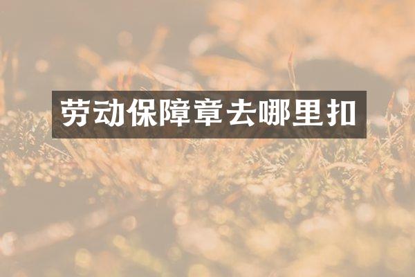 劳动保障章去哪里扣