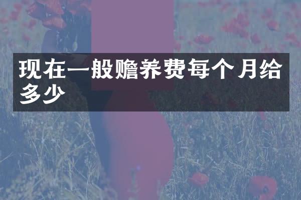 现在一般赡养费每个月给多少