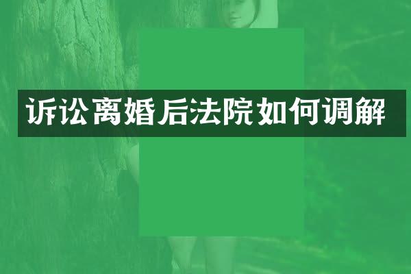 诉讼离婚后法院如何调解