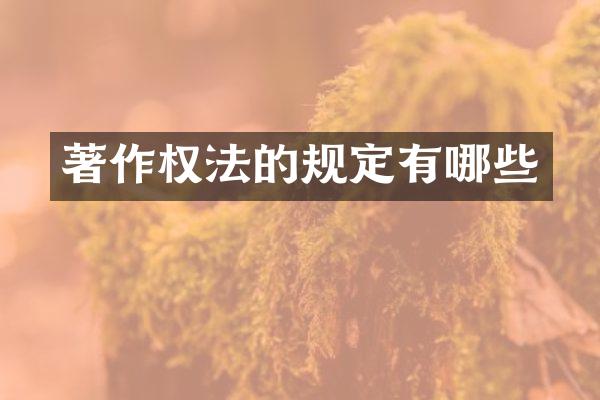 著作权法的规定有哪些
