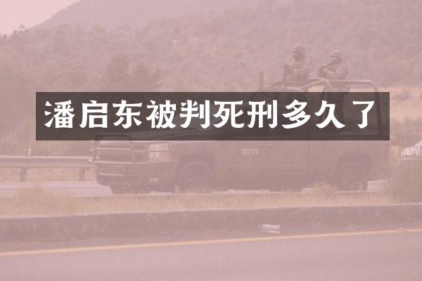 潘启东被判死刑多久了
