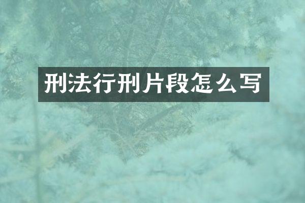 刑法行刑片段怎么写