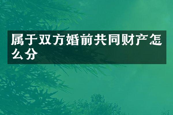 属于双方婚前共同财产怎么分