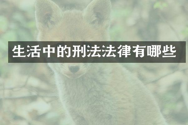 生活中的刑法法律有哪些