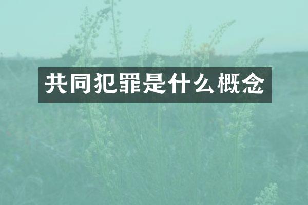 共同犯罪是什么概念