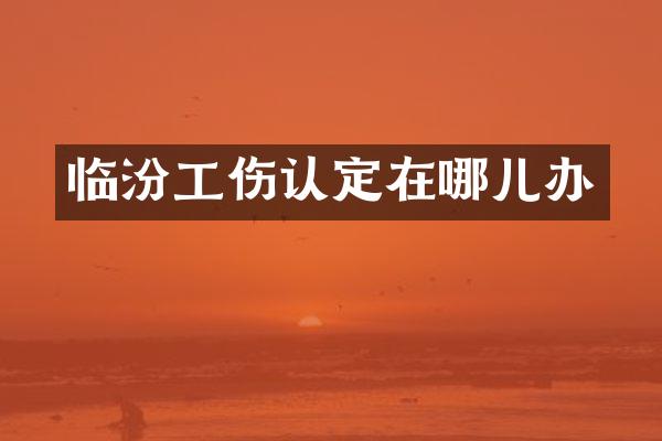临汾工伤认定在哪儿办