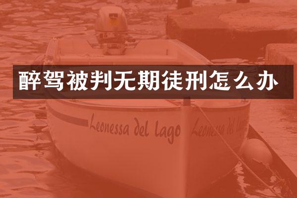 醉驾被判无期徒刑怎么办
