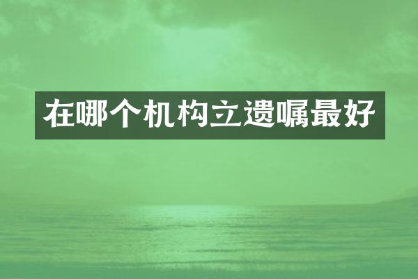 在哪个机构立遗嘱最好
