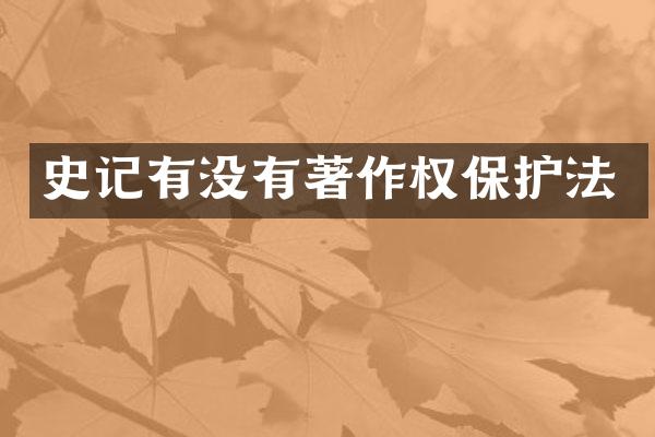 史记有没有著作权保护法