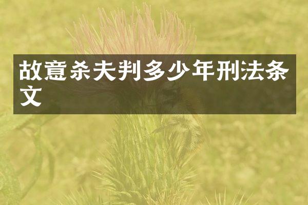故意杀夫判多少年刑法条文