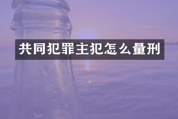 共同犯罪怎么量刑