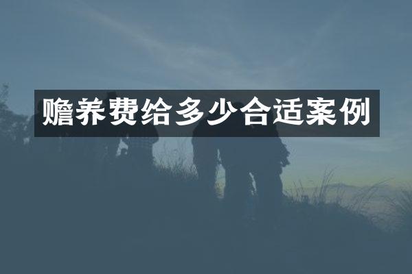 赡养费给多少合适案例