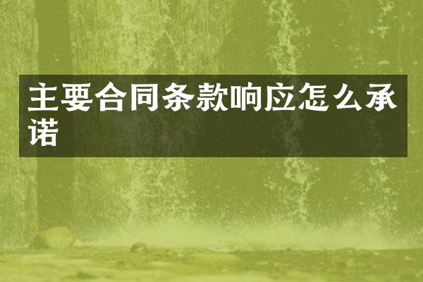 主要合同条款响应怎么承诺