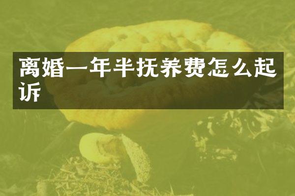 离婚一年半抚养费怎么起诉