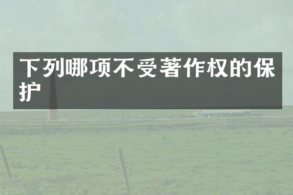 下列哪项不受著作权的保护