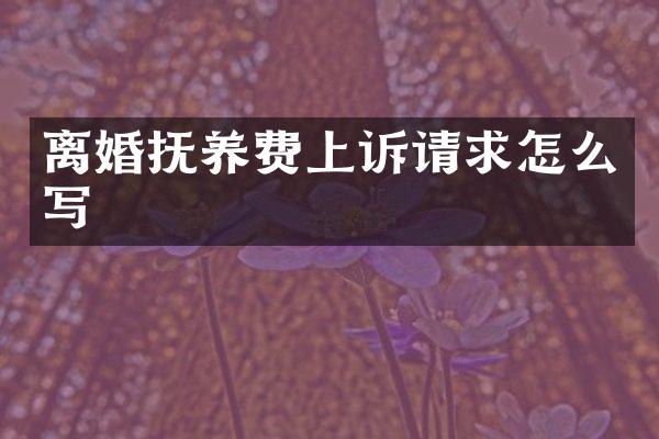 离婚抚养费上诉请求怎么写