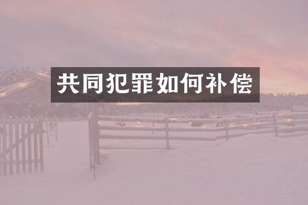 共同犯罪如何补偿