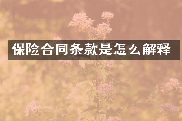 保险合同条款是怎么解释