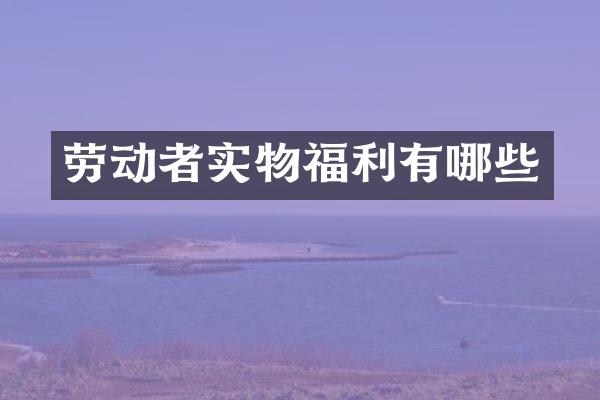劳动者实物福利有哪些