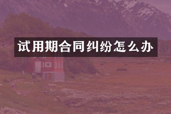 试用期合同纠纷怎么办