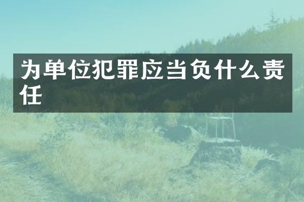 为单位犯罪应当负什么责任