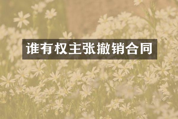 谁有权主张撤销合同