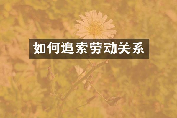 如何追索劳动关系