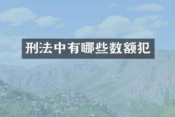 刑法中有哪些数额犯