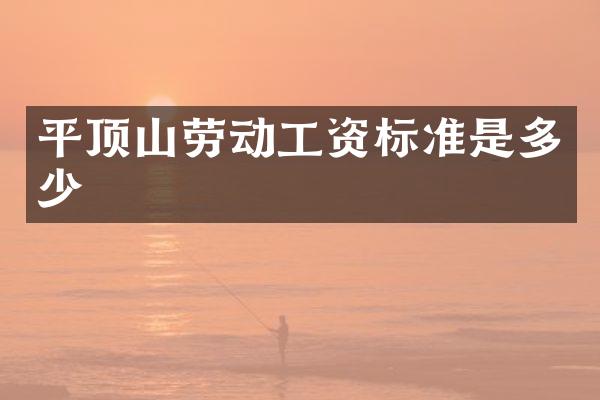 平顶山劳动工资标准是多少