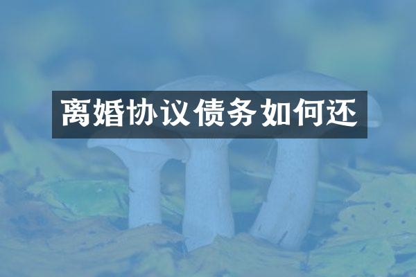 离婚协议债务如何还