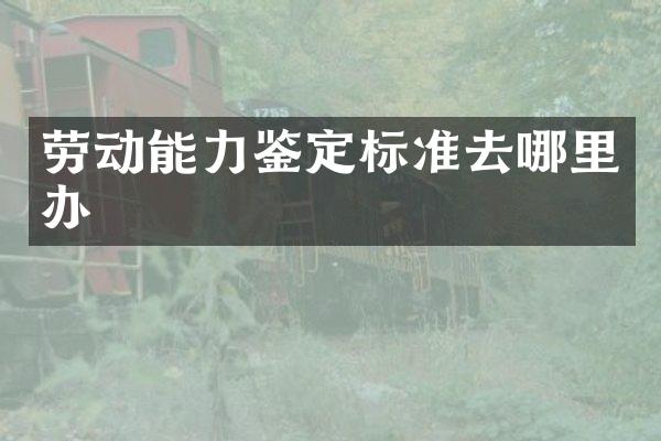 劳动能力鉴定标准去哪里办