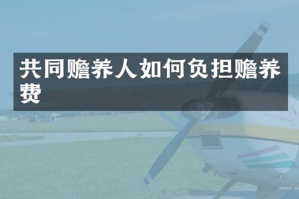 共同赡养人如何负担赡养费