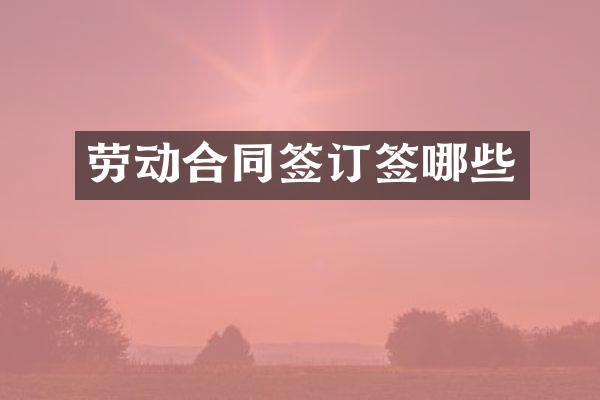 劳动合同签订签哪些