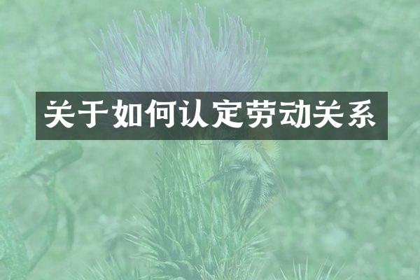 关于如何认定劳动关系