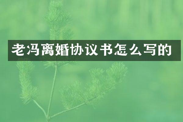 老冯离婚协议书怎么写的