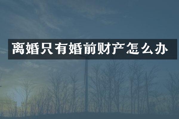 离婚只有婚前财产怎么办