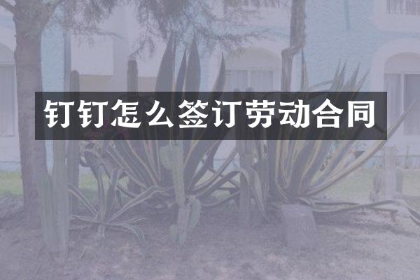 钉钉怎么签订劳动合同