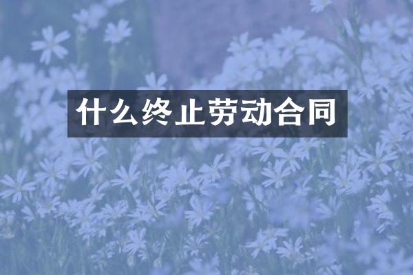 什么终止劳动合同