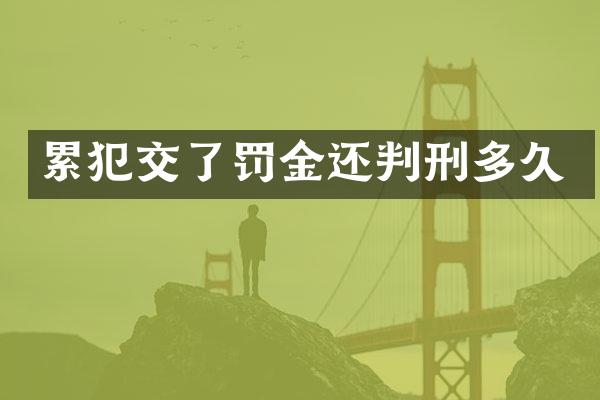 交了罚金还判刑多久