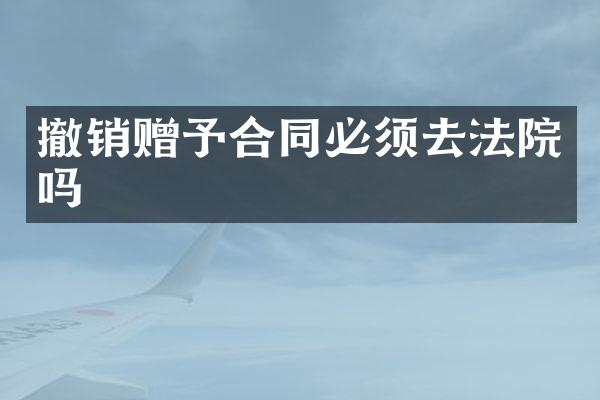 撤销赠予合同必须去法院吗